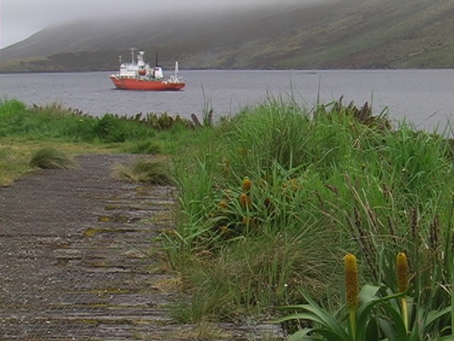 Campbell Island